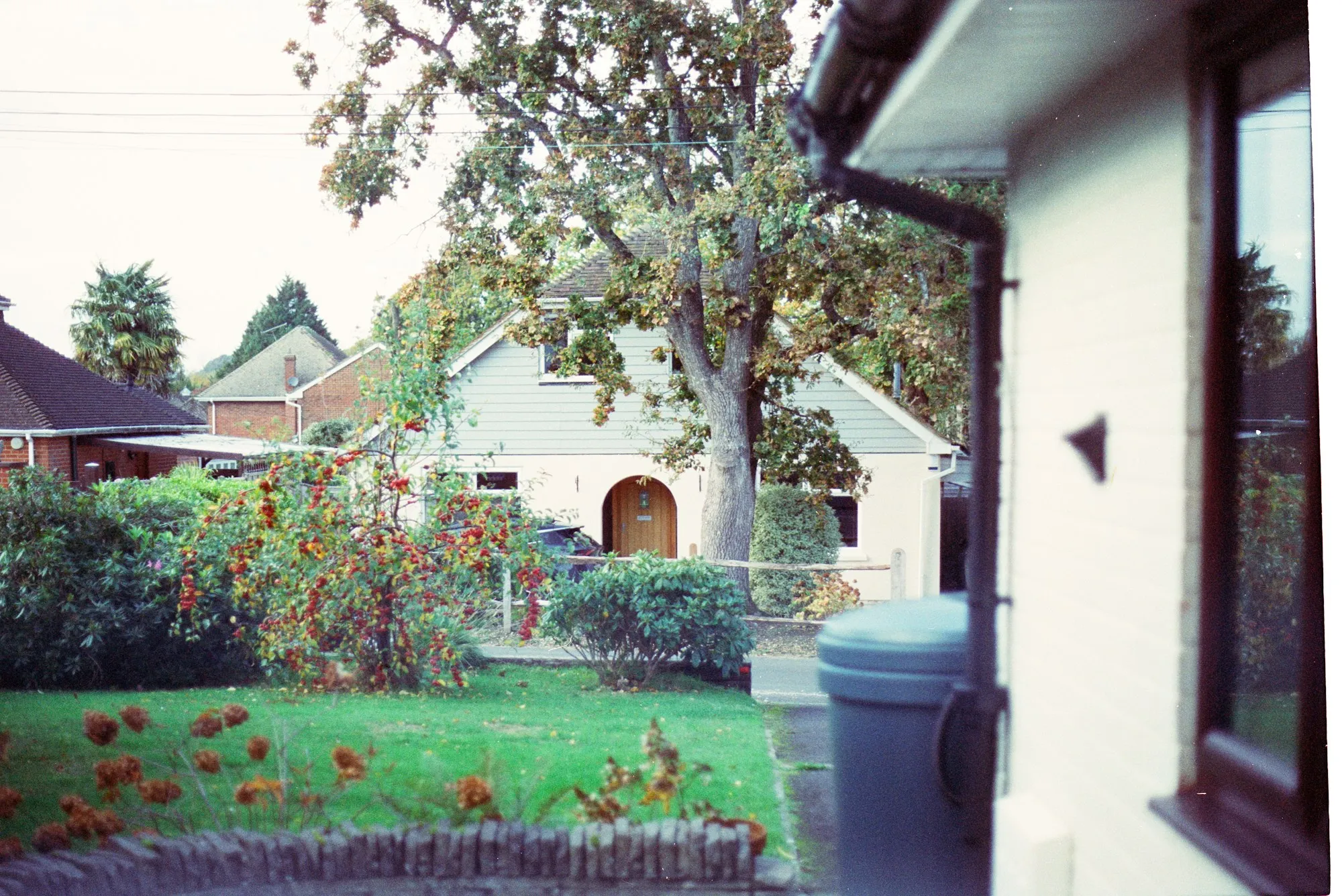 A suburban house with a garden and a large tree in front of it